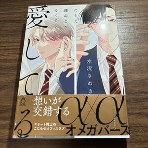 たとえ運命じゃなくても愛してる／木沢さわき　4月刊