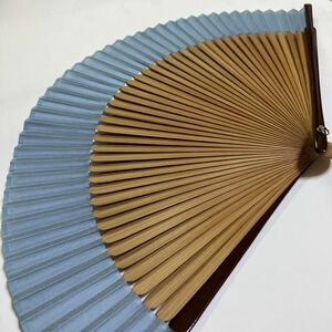  silk fan light blue parent . coating processing 