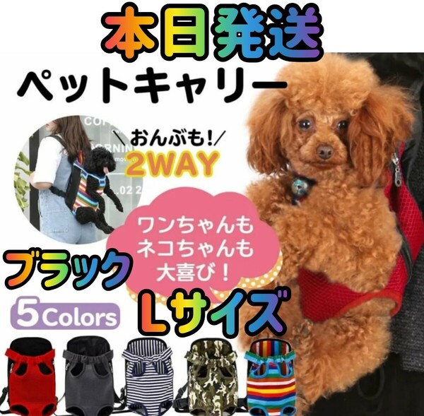 ペットキャリーバッグ ブラック Lサイズ ペットバッグ ペット抱っこひも キャリーバッグ ペット用品 犬バッグ 猫バッグ 犬用品 猫用品 