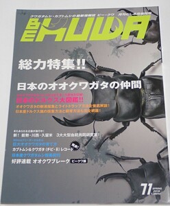 むし社 BE KUWA ビークワ No.71■総力特集!！日本のオオクワガタの仲間｜樹液採集とライトトラップを徹底解説／日本産クワガタムシ採集紀行