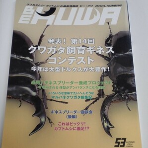 BE KUWA ビークワ No.53■第14回クワガタ飼育ギネスコンテスト｜体系がアンバランスになる理由／マルバネ採集記／カブトムシに義足