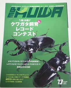 BE KUWA Beak waNo.73# stag beetle breeding record navy blue test lo ok wa*pala one record update | domestic production King rhinoceros beetle | China is nam Gris collection chronicle 