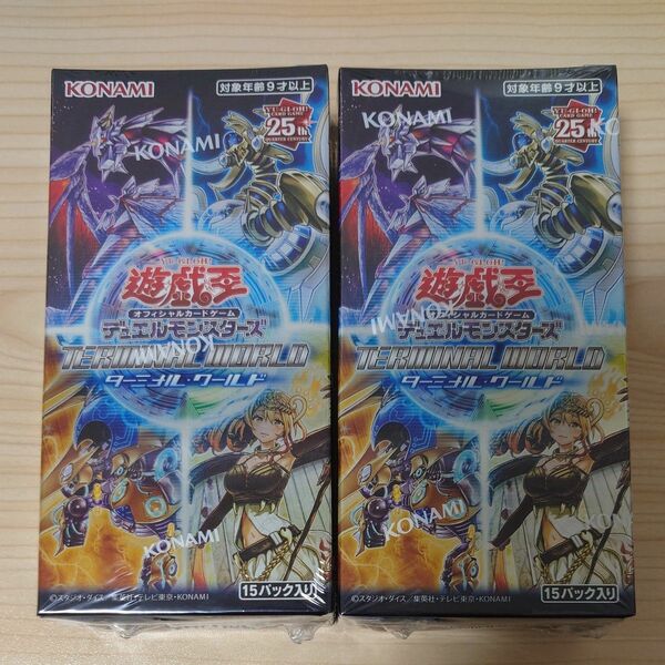 遊戯王OCG デュエルモンスターズ TERMINAL WORLD 2BOX