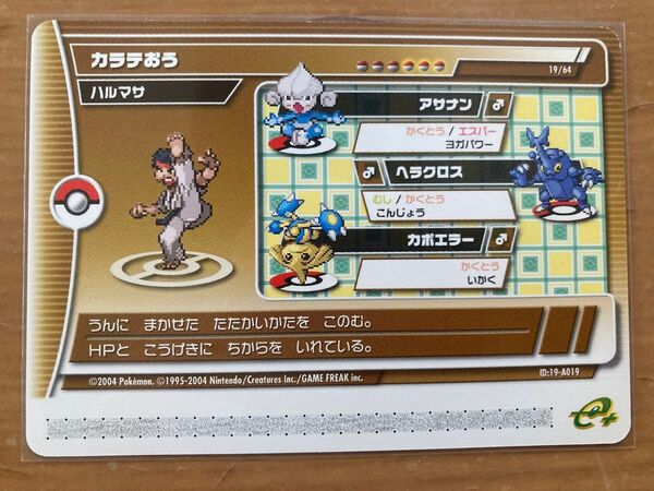ポケモンバトルカードe+ エメラルド19