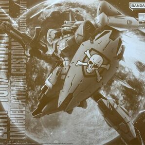 MG 1/100 モビルジン ミゲル・アイマン専用機 新品未開封品 プレミアムバンダイ限定品 機動戦士ガンダムSEED MSV