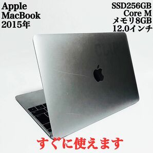 MacBook 爆速SSD256GB 2015年 メモリ8GB パソコンPC