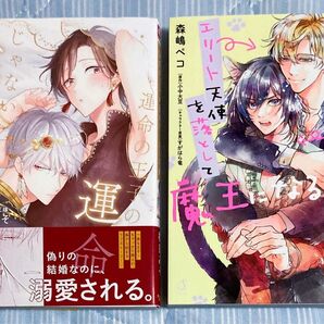 BL漫画 コミック 2冊セット 梅田みそ 森嶋ペコ