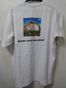 ザノースフェイス　Tシャツ　Lサイズ　NT31952