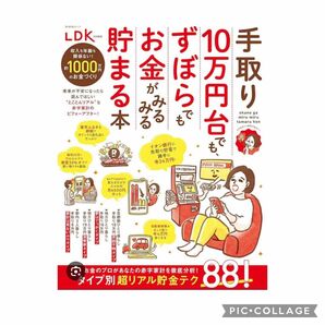 手取り10万円台でも、ずぼらでもお金がみるみる貯まる本