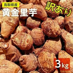 [ with translation ] yellow gold taro woman . raw corm takkyubin (home delivery service) 3kg....sa toy mo mountain yam 