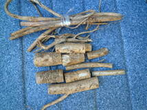 タラの木　山取りタラの根　自然完全乾燥　生薬　450ｇ　糖尿　送料込_画像4