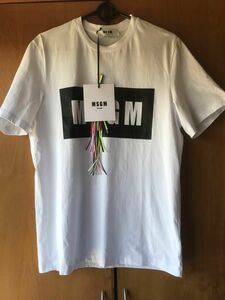 msgm tシャツ