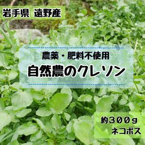 \\\\農家直送 野菜の味が濃い//旬 クレソン 約300g 農薬・肥料不使用