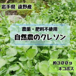 \\\\農家直送 野菜の味が濃い//旬 クレソン 約300g 農薬・肥料不使用