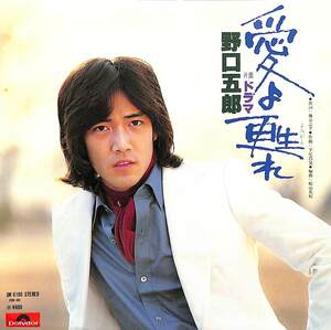 C00194415/EP/野口五郎「愛よ甦れ/ドラマ(1978年:DR-6180)」