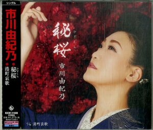 D00154775/CDS/市川由紀乃「秘桜」