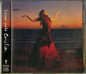 D00155695/CD/矢井田瞳「Candlize (2001年・TOCT-24655・パワーポップ・フォークロック)」