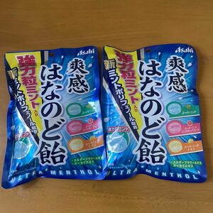  アサヒグループ食品 爽感はなのど飴 72g×6入