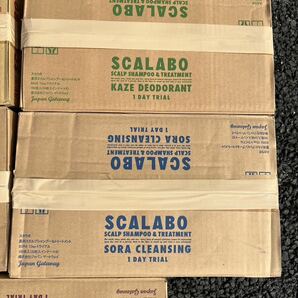 SCALABO スカラボ 全色 1day トライアルセット ノンシリコンシャンプートリートメント 192枚入×5箱セットの画像9