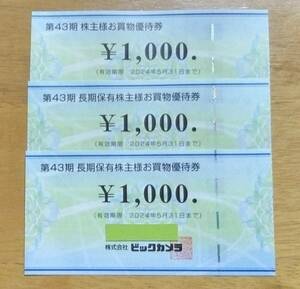 ビックカメラ株主優待券3000円分