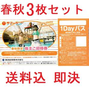 ☆3枚セット 春秋限定 送料無料 防水梱包 東京都競馬株主優待　サマーランド1Dayパス 春秋限定 3枚☆