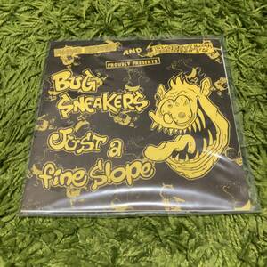 【Bug Sneakers / Just A Fine Slope - Split】disgusteens more fun queers pop punk