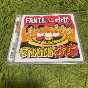 【F.A.N.T.A. / DDT Split】shock treatment depressing claim air bag queers pop punk