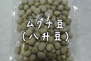 「岡山県倉敷市真備町産の完全無農薬高品質なムクナ豆」１００グラム ゆうパケットポストmini 送料無料