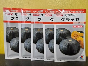 カボチャ種　グラッセ　9粒×5袋　未開封有効期限切れ