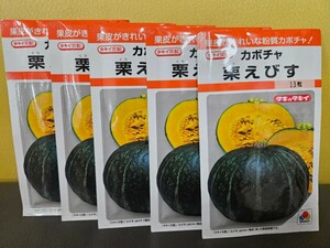 カボチャ種　栗えびす　13粒×5袋　未開封有効期限切れ　ラスト