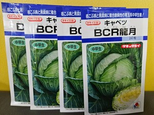 キャベツ種　BCR龍月　160粒×4袋　未開封　有効期限切れ