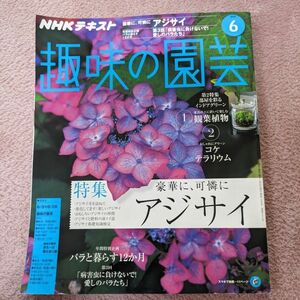 趣味の園芸 NHKテキスト アジサイ特集