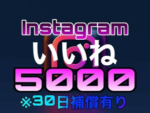 【おまけ 5000 Instagram いいね数 増加】インスタグラム Youtube 自動ツール インスタ フォロワー follower 宣伝