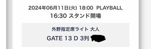 6/11(火)イーグルスVSジャイアンツチケット1枚