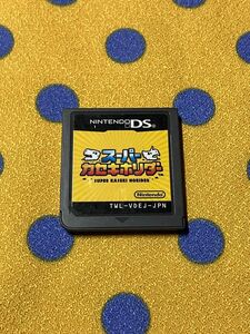 Nintendo DS ソフト　スーパーカセキホリダー　ソフトのみ