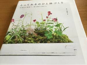 明るい部屋著　とっておきのひと鉢づくり　印象的な植物で、寄せ植えを楽しむ