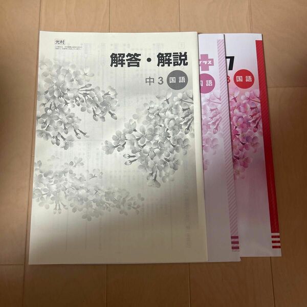 学習ノート 解説 塾専用 解答解説　iワーク