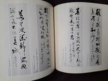 中国美術資料　費新我書展　西武　カタログ　絶版　1982年　阿倍商事　大師　水墨　近代文化　雪江堂_画像3