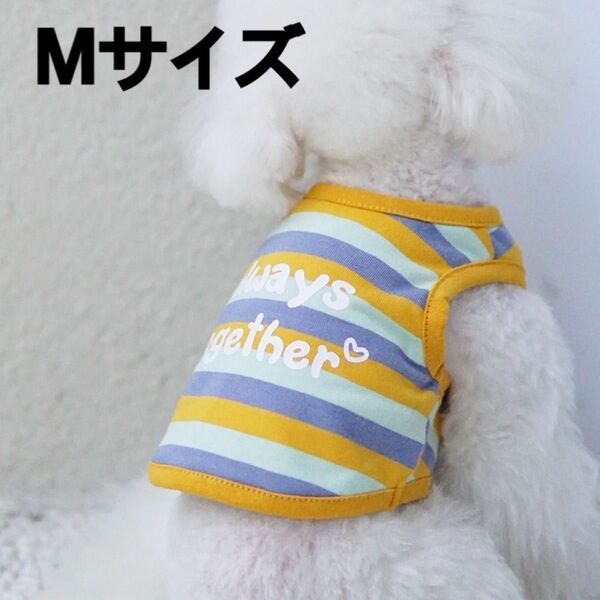 犬服　犬　服　ドッグウェア　Tシャツ　タンクトップ　ボーダー　イエロー　Mサイズ