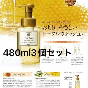 POLAシャワーブレイクフォームソープ480ml3個セット