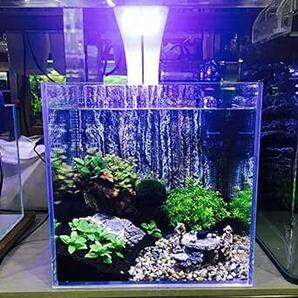 しんちんちん 水槽 30cm ライト 小型水槽 LEDアクアリウムライト ランプ24LED（20白4青） 10W 淡水 小粋なシスの画像3