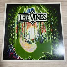 The Vines Highly Evolved EUオリジナルLPレコード_画像1