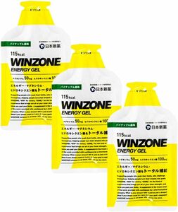 3袋 日本新薬 WINZONE（ウィンゾーン）フルマラソン完走セット エナジージェル 3袋 パイナップル風味 マラソン 補給食 E