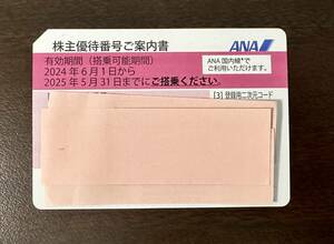 全日空 ANA 株主優待券 1枚 送料無料 / 有効期限：2025年5月31日迄