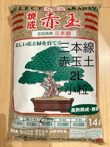 赤玉土　三本線　イワモト　小粒2L