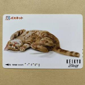 【使用済】 パスネット 京浜急行電鉄 京急 猫
