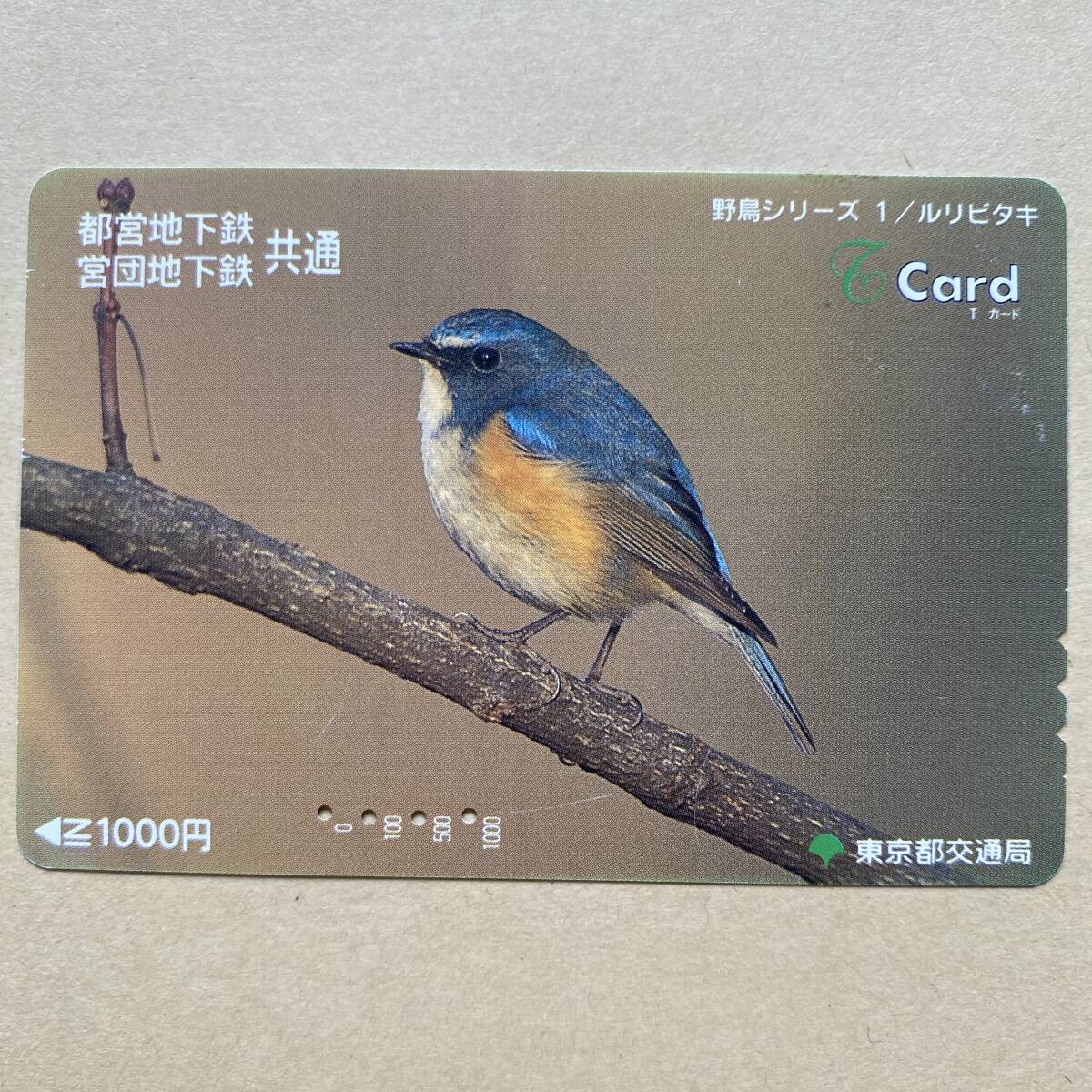 2025年最新】Yahoo!オークション -野鳥 ルリビタキの中古品 2025年最新】Yahoo!オークション -野鳥 ルリビタキの中古品
