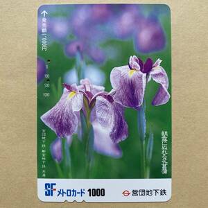 【使用済】 花メトロカード 営団地下鉄 東京メトロ 朝露にぬれる花菖蒲