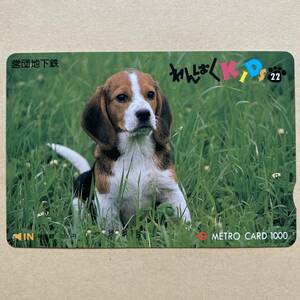 【使用済】 メトロカード 営団地下鉄 東京メトロ わんぱくKIDS22 犬
