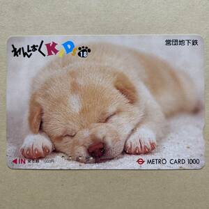 【使用済】 メトロカード 営団地下鉄 東京メトロ わんぱくKIDS18 犬